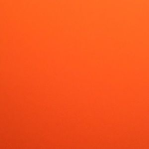 Meet your Posher, Ashlyn